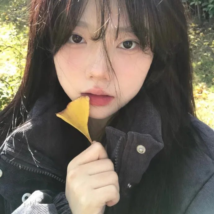 跑马地的月光粤语